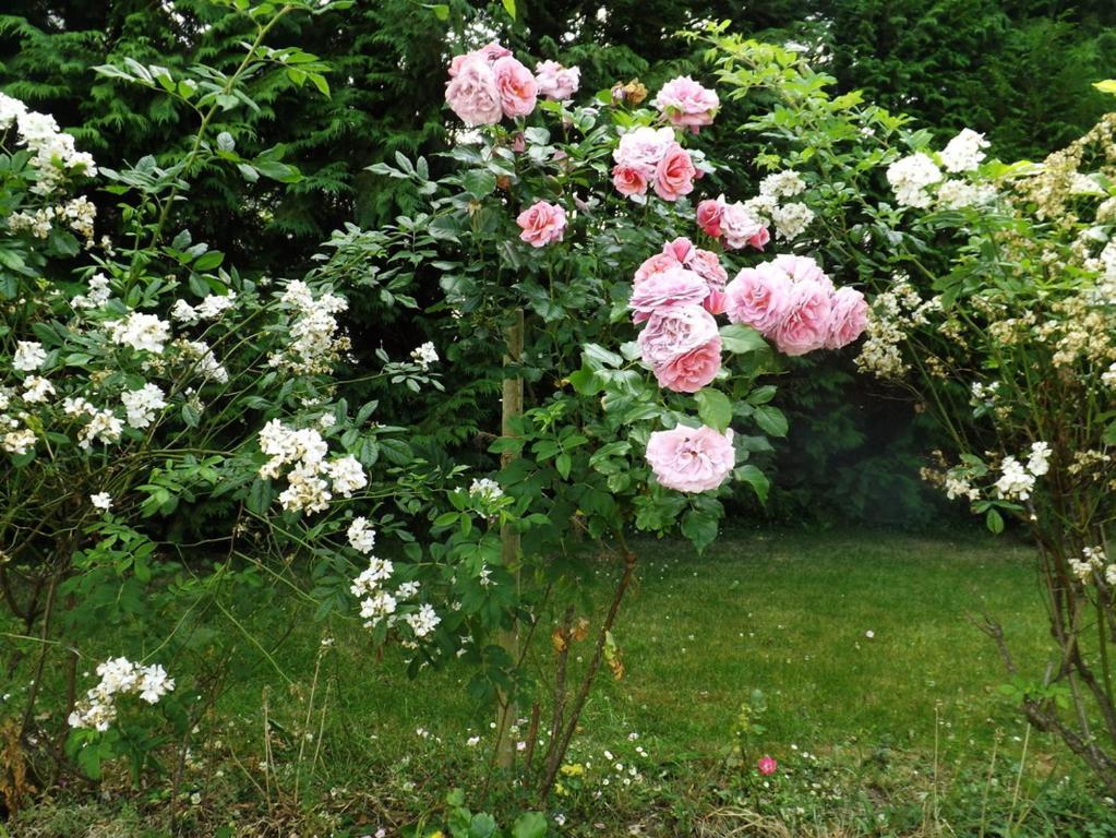 Kingsmills Cottages Artrea 部屋 写真
