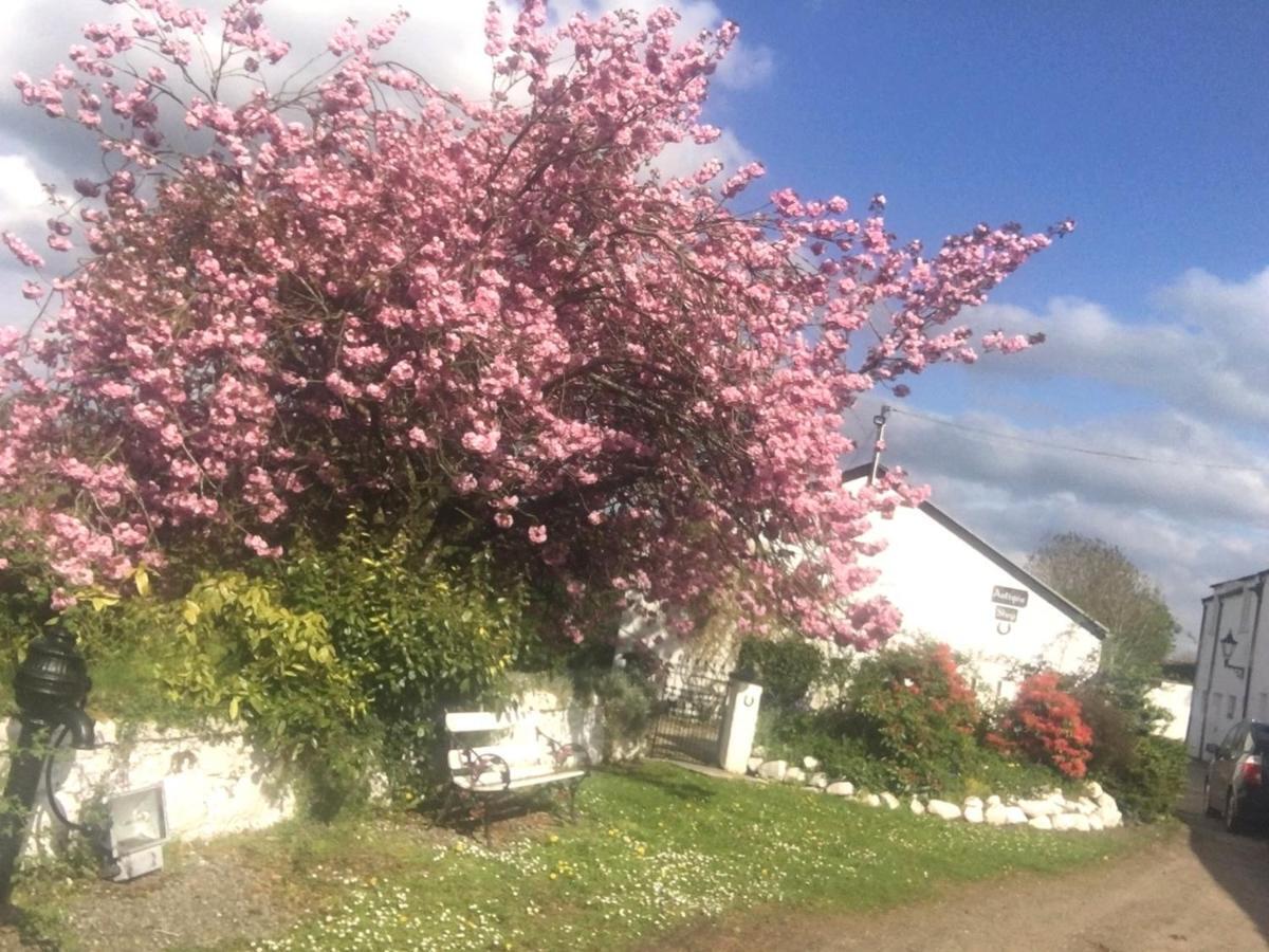Kingsmills Cottages Artrea エクステリア 写真